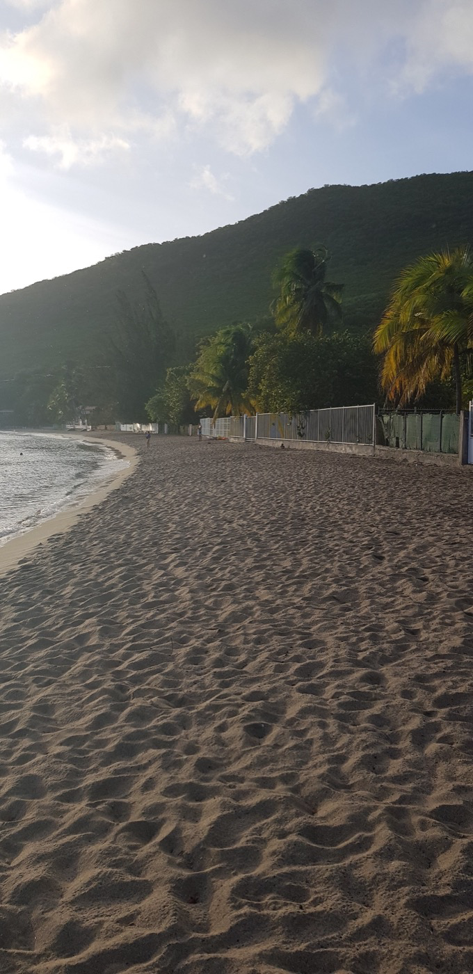 Beach and hillside at Grande Anse d'Arlet, Martinique